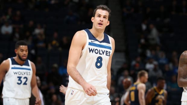 nemanja-bjelica-kings.jpg